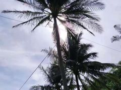 -Let's Relax Spa(Phuket 3rd Street)