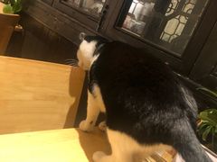 店内环境-猫的天空之城概念书店(杭州南宋御街店)