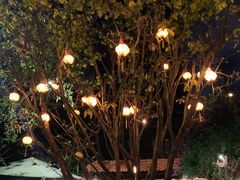 -Lam Vien Restaurant