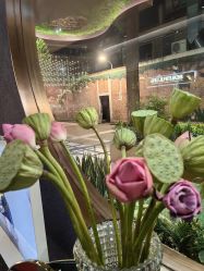 -花隐·美芙炫海菲秀皮肤管理中心