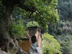 -杨家堂村