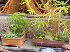 -恺庐茶园(宽窄巷子景区店)