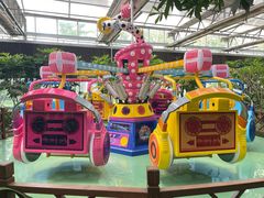 -南宫五洲植物乐园