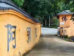 -东天目山风景区