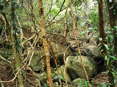 -七仙岭温泉国家森林公园