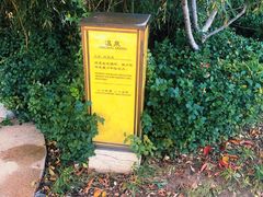 -大连金石滩绿发温泉假日酒店