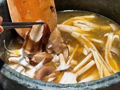 时珍至味山菌汤锅（不含肉）-芸山季·云南山珍菌火锅(南翔印象城MEGA店)