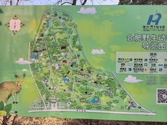 -合肥野生动物园