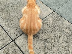 -晓港公园