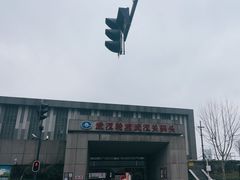 -武汉关码头(轮渡站)