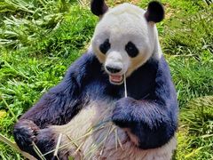 -济南野生动物世界