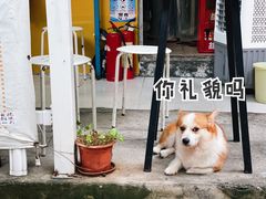 -小梁哥云吞面(黄贝岭店)