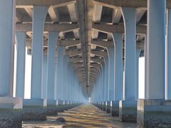 -宝安西湾红树林湿地公园