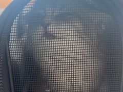 -艾贝尔宠物医院·24H转诊中心·肿瘤猫专科(江宁双龙店)