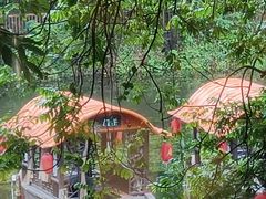 -侨美·唐荔园·40年地道粤菜