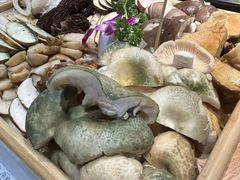 -一朵菌·野生菌探索家火锅(南亚店)