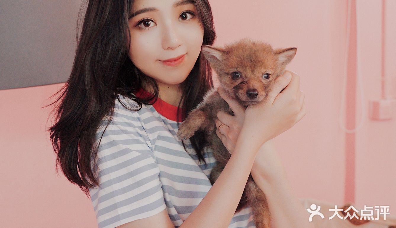 江浙沪周边游🐯宁波雅戈尔动物园互动全攻略