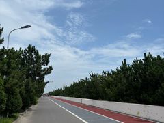 -日照海滨国家森林公园