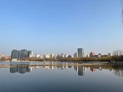 -莲花池公园