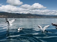 -丽江泸沽湖景区