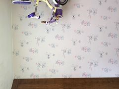 -金山农民画村-枫泾波兰倒置屋