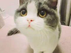 -星巴克(泰安万达店)