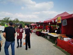 -秀丽东方