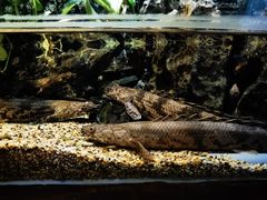 -太平洋海底世界