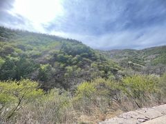 -北京西山国家森林公园