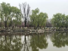 -西安浐灞国家湿地公园