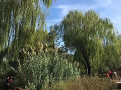 -燕郊植物园
