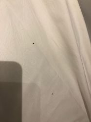 -松和日式美容整骨