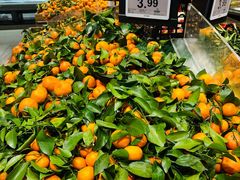 -昌大昌(清远顺盈店)