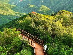 -大岭沟猕猴桃谷风景区