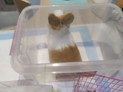 -雨林宠物医院 非犬猫异宠专科