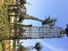 iphone_upload_pic-武汉紫薇都市田园