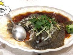 -北海渔村酒楼·粤菜海鲜点心(新华店)