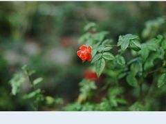 -行人小筑·茶馆(岑村火炉山分店)