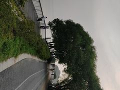 -贡湖湾湿地公园