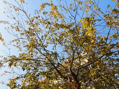 -华东政法大学(松江校区)