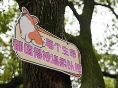 -惠山国家森林公园