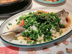 -新世界餐厅(万达店)