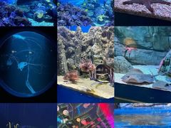 -欢乐海岸海洋奇梦馆
