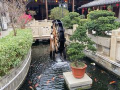 -顺德了能馆(虎门店)