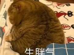 -贡椒鱼老店·雅安十大名店