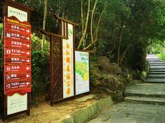 -广州白江湖森林公园