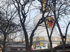 -护国法轮寺