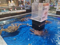 -盒马鲜生(红莲店)
