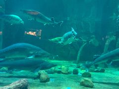 -华夏文旅海洋公园