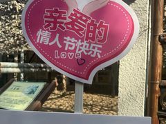 -呀路古热带植物园